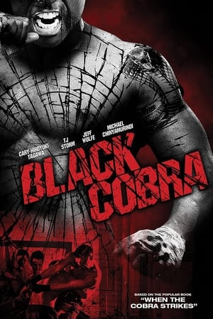 Black Cobra (2012) Dual Audio | Hindi Full Movie BluRay [830MB]