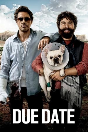 Due Date (2010) Dual Audio | Hindi Full Movie BluRay [850MB]