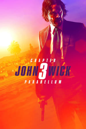 John Wick Chapter 3 Parabellum (2019) Dubbed | Hindi Full Movie BluRay [1GB]