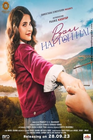 Pyaar Hai Toh Hai 2023 DVDScr | Hindi Full Movie – 480p
