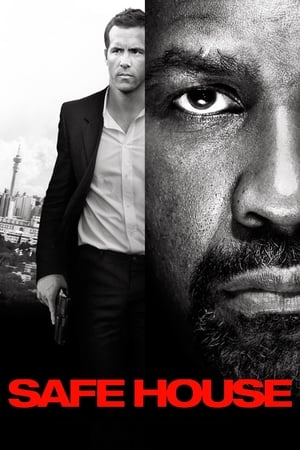 Safe House (2012) Dual Audio | Hindi Full Movie BluRay 350MB