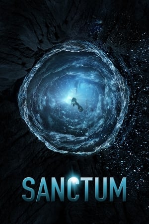 Sanctum (2011) Dual Audio | Hindi Full Movie BluRay 300MB