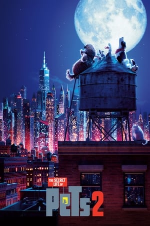 The Secret Life of Pets 2 (2019) (Original) Dual Audio | Hindi Full Movie BluRay 300MB